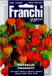 Physalis Franchetti Lantern Plant Seeds